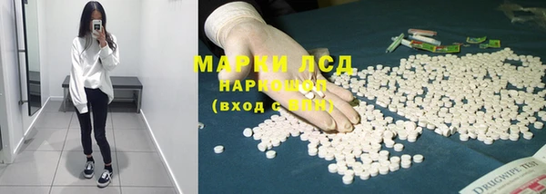 крисы Заводоуковск