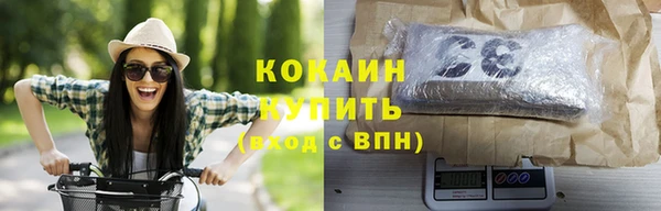 крисы Заводоуковск