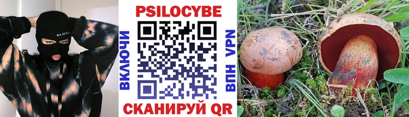 Псилоцибиновые грибы Psilocybine cubensis  дарнет шоп  Советская Гавань 