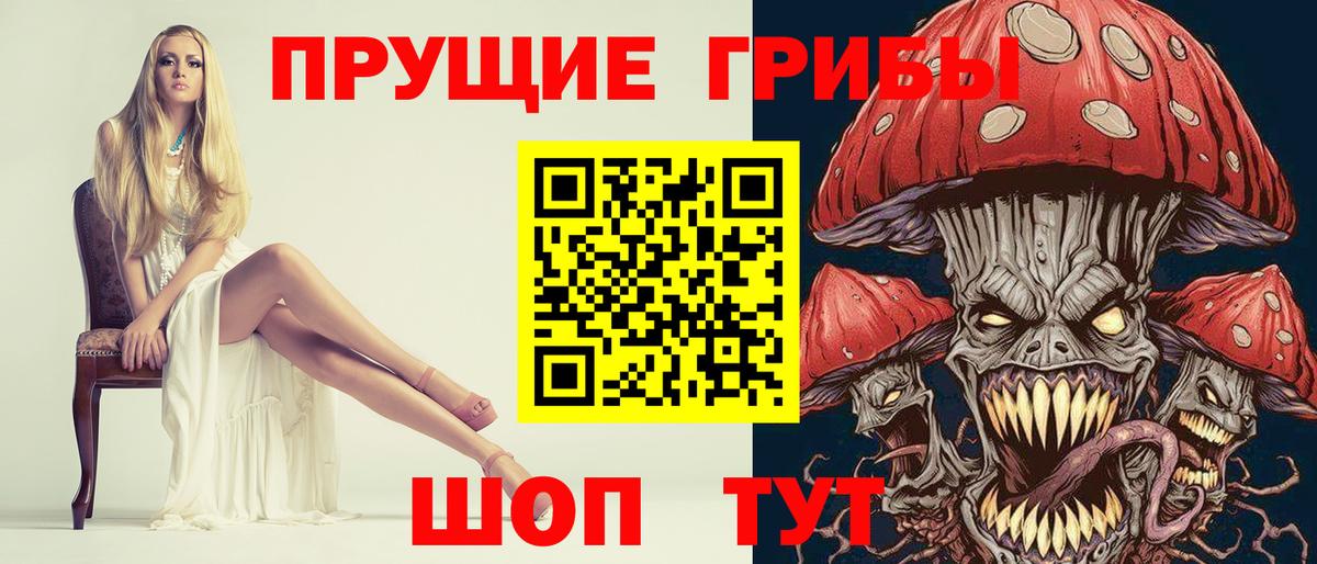 Галлюциногенные грибы Psilocybine cubensis Советская Гавань